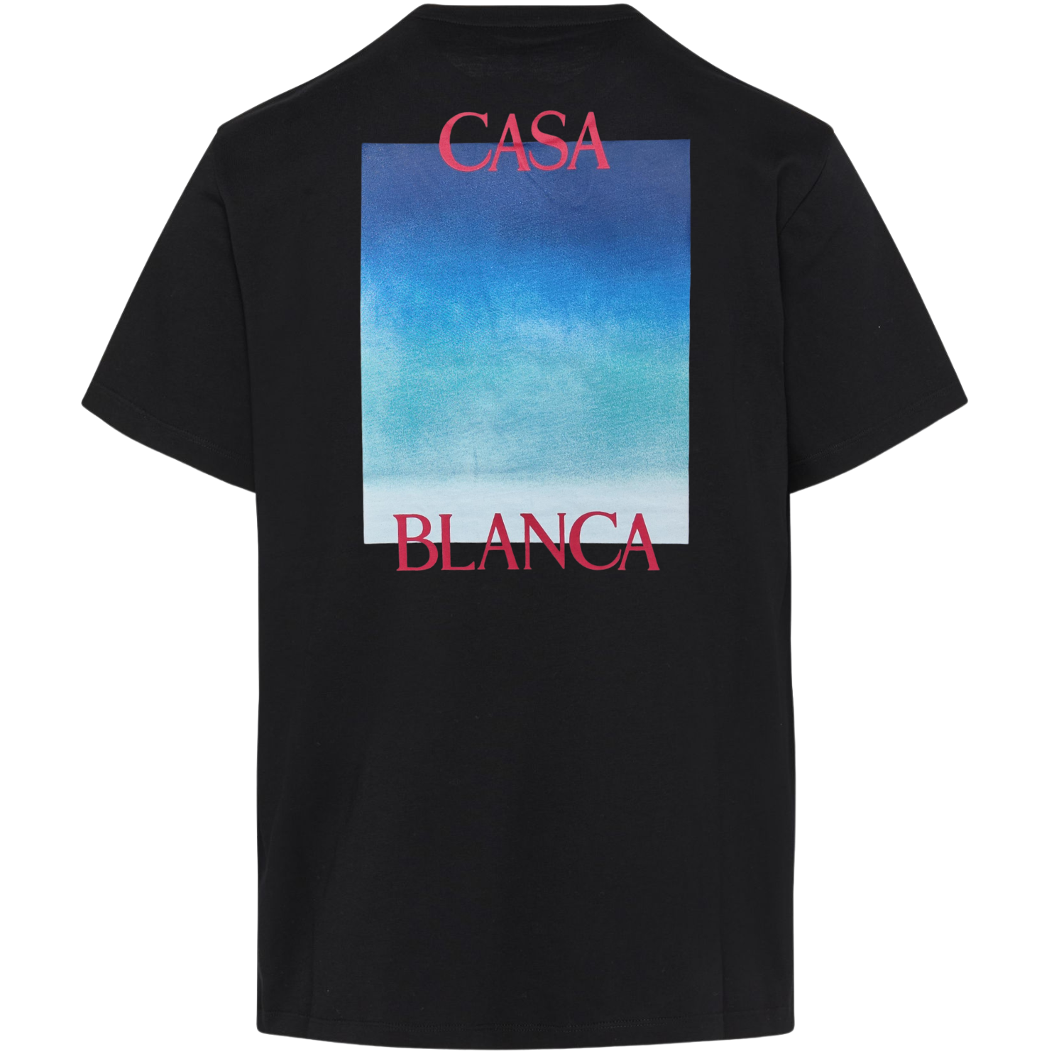 M.T-Shirts CAS 36