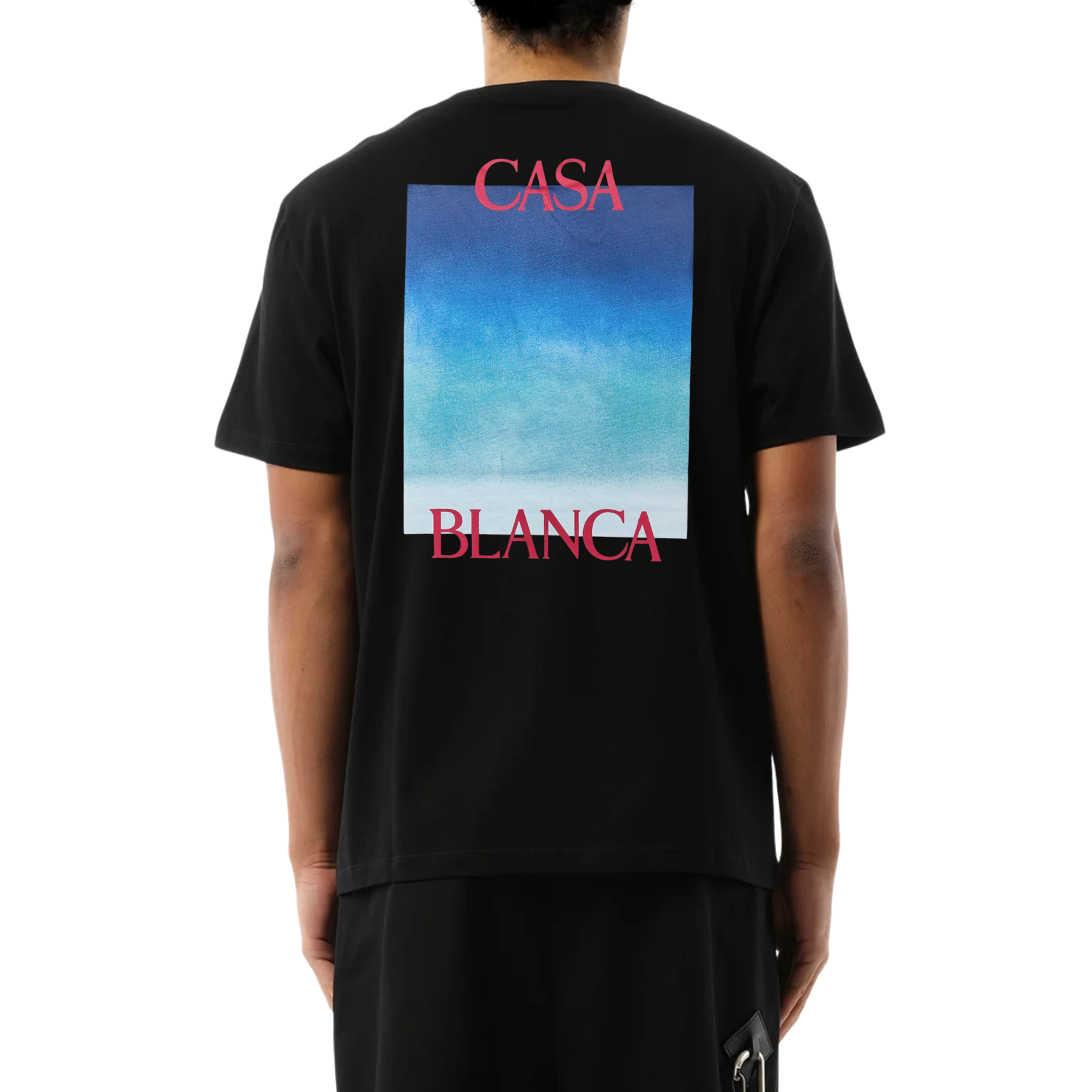 M.T-Shirts CAS 36