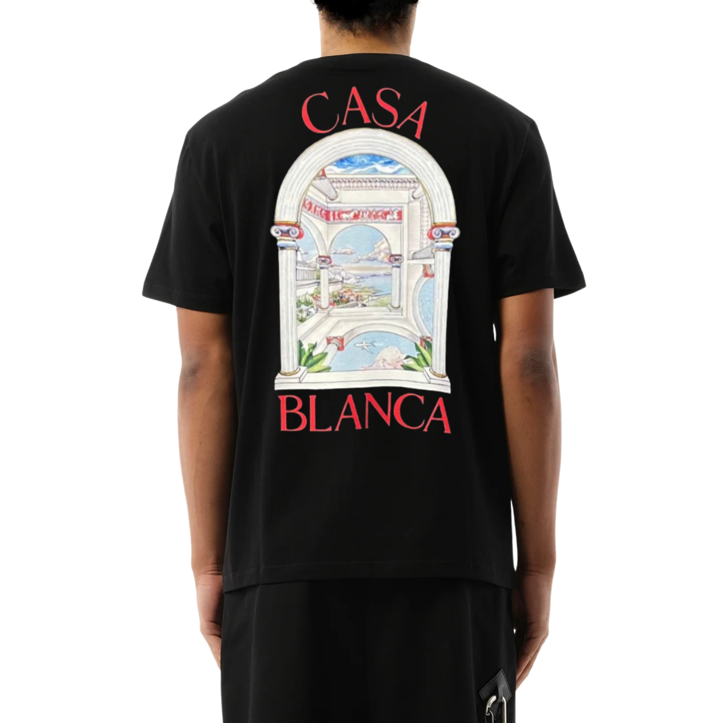 M.T-Shirts CAS 38