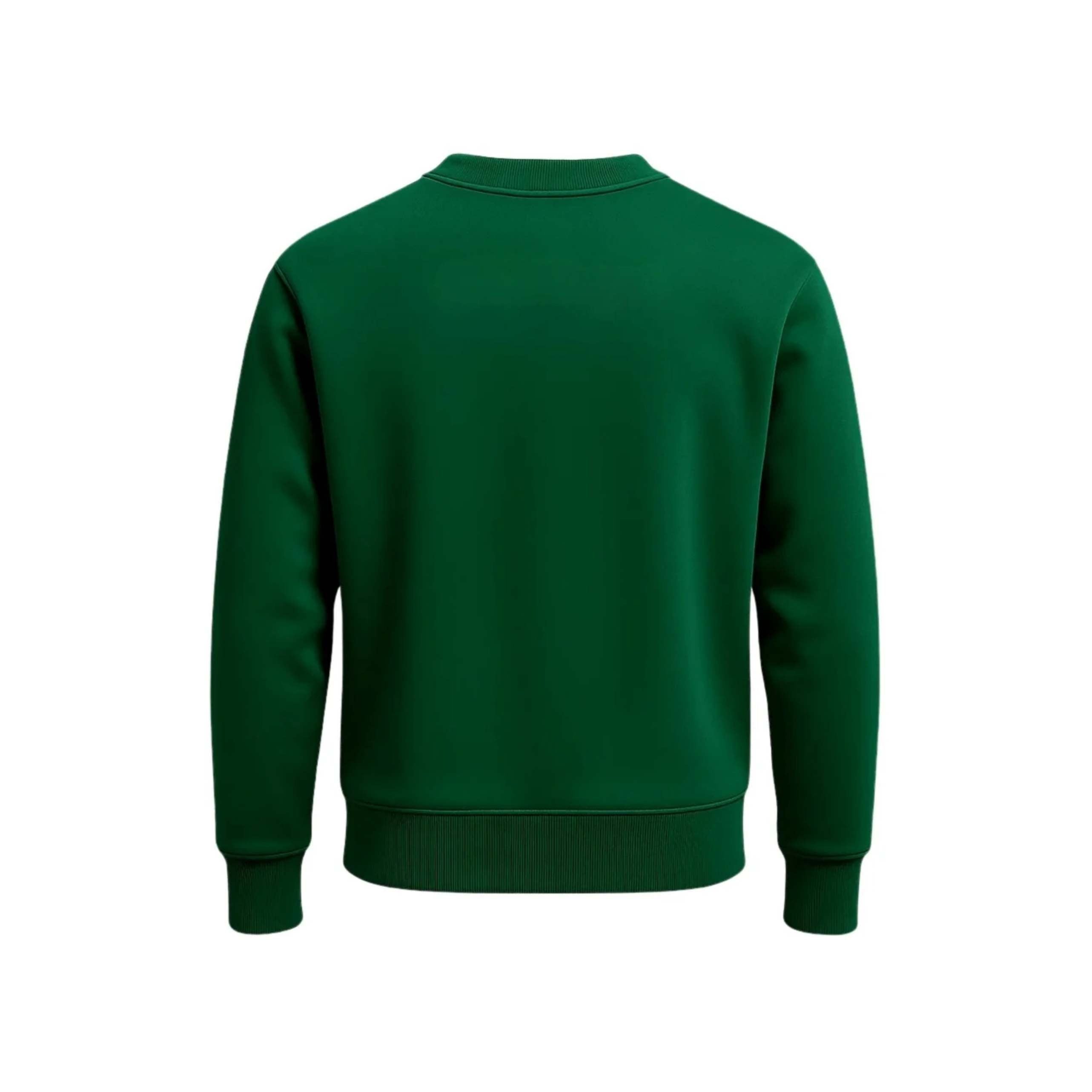 Sweater PA 109